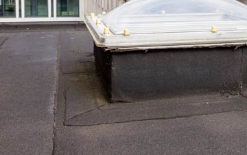 disadvantages of Treforest flat roofs