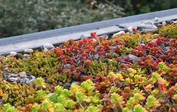 the cost of Treforest green roof installation