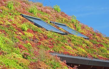 Treforest living roof systems